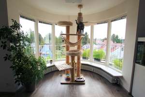 Attraktive 4-Zimmerwohnung in Aubing! – Die vollständige Adresse der Immobilie erhältst du vom Anbieter., 81243 Aubing-Süd, München – Vorschaubild 6