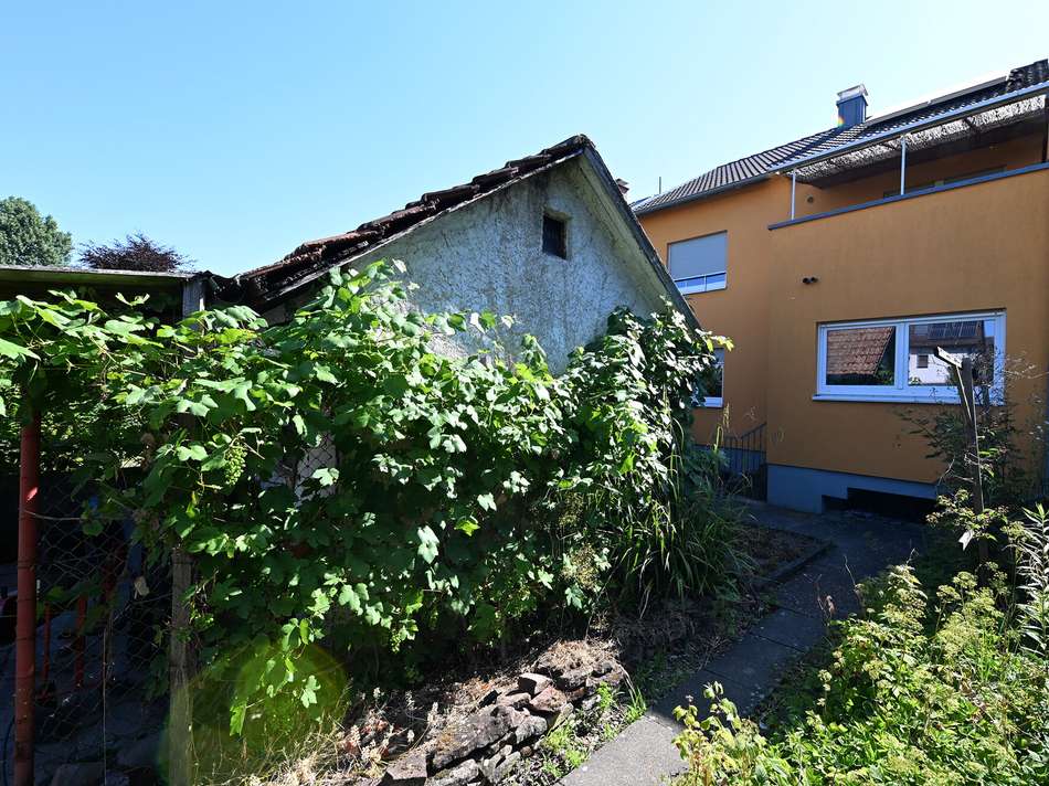 Garten_2