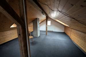 Erstbezug nach Sanierung - Haus in Vaihingen in toller Lage für WG oder Familie – 70563 Vaihingen-Mitte, Stuttgart – Vorschaubild 9