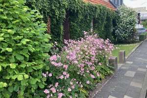 Doppelhaushälfte mit Potenzial in der Südstadt, Nähe Borchener Str. – Die vollständige Adresse der Immobilie erhältst du vom Anbieter., 33098 Kernstadt, Paderborn – Vorschaubild 15
