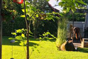 Property thumbnail 27