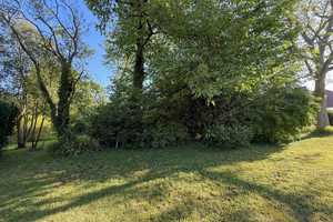 Großzügiges Haus mit Gartenidylle in Brühl Badorf – perfekt für Familien und Mehrgenerationenwohnen – Am Kuttenbusch 3, 50321 Rhein-Erft-Kreis – Vorschaubild 22