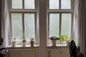 Sonnig, ruhig! 2-Zimmer Wohnung mit Einbauküche in Stadtfeld-Ost – Immermannstraße 3, 39108 Stadtfeld Ost, Magdeburg – Vorschaubild 4