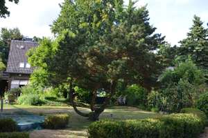 Großzügiges Gartenparadies mit freistehendem Einfamilienhaus -Ideal für Familien und Tierhaltung- – Im Haselbusch 56, 47447 Bettenkamp, Moers – Vorschaubild 18