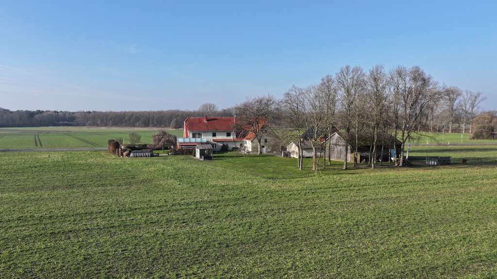 Immobilie in Espelkamp - Großes Landhaus in stadtnaher Alleinlage auf einem ca. 25.894 m² Grundstück... - Bild 0