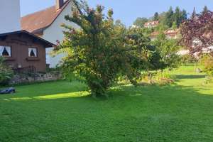 Exklusives Immobilien-Ensemble in Neckargemünd-Dilsberg: Historischer Charme trifft Moderne – Neuhofer Straße 34, 69151 Neckargemünd – Vorschaubild 5