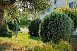 Attraktives Mehrfamilienhaus/Einfamilienhaus mit Gewerbe – Frankenberger Straße 231, 9131 Chemnitz – Vorschaubild 7
