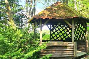 Naturparadies Rheinsberg: Bungalows auf großem Grundstück in Nähe zu zwei wunderschönen Seen – Ostprignitz-Ruppin (Kreis) – Vorschaubild 7
