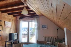 OBJEKT MIT FLEXIBLEN VERMIETUNGSKONZEPTEN – Die vollständige Adresse der Immobilie erhältst du vom Anbieter., 79868 Feldberg (Schwarzwald) – Vorschaubild 6
