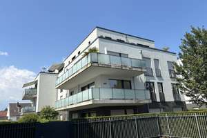 Exklusive 4-Zimmer-Whg. ca. 133 m², Sonnenbalkon, 2 Bäder, Aufzug, ruhige Rheinnähe in Plittersdorf