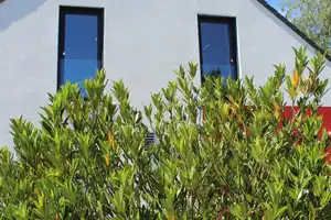 Jetzt besichtigen - unser modernes massa Musterhaus in Kaiserslautern erwartet Sie! – Kusel (Kreis) – Vorschaubild 23