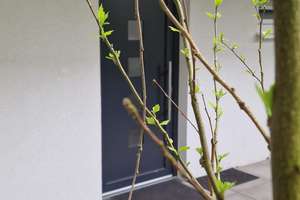 2 Zimmer Wohnung (Barrierefrei und ruhig) Zentral in Bochum Linden – Die vollständige Adresse der Immobilie erhältst du vom Anbieter., 44879 Linden, Bochum – Vorschaubild 18