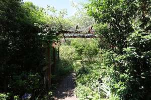 Ruhig gelegenes Einfamilienhaus - großes Grundstück, Innenhof, Traumgarten und Erweiterungspotenzial – Die vollständige Adresse der Immobilie erhältst du vom Anbieter., 69123 Pfaffengrund, Heidelberg – Vorschaubild 28