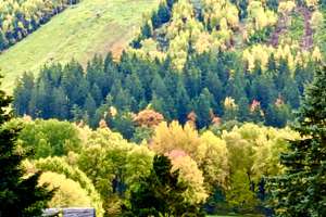 Schönecker Raumwunder mit traumhaftem Naturblick sucht neue Berufung – Klingerstraße 9, 8261 Schöneck/Vogtland – Vorschaubild 18