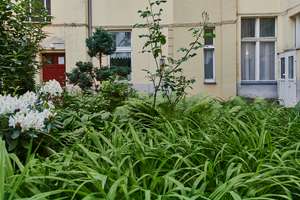 WOHLFÜHLEN IM ALTBAU-JUWEL IN CHARLOTTENBURG: 3-ZIMMER-WOHNUNG, AUFGETEILT IN 2 EINHEITEN! – Friedbergstraße 27, 14057 Charlottenburg, Berlin – Vorschaubild 13