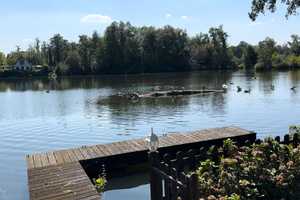 Exklusivauftrag:Top-gepflegtes Architektenhaus m. zusätzlicher Finnhütte in Ketzin,Wassergrundstück! – Havelland (Kreis) – Vorschaubild 17