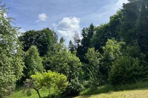 Einmalige Gelegenheit in Toplage von Tambach-Dietharz – Friedrich-Hörchner-Straße 33, 99897 Tambach-Dietharz/Thüringer Wald – Vorschaubild 5