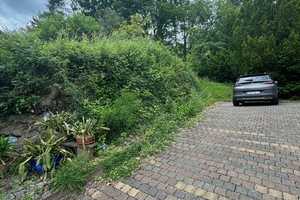 EFH! 8.000 m² Grund! HOCH ÜBERM TALE! Traum von Altersruhesitz! Was für ein herrliches Anwesen! – Kusel (Kreis) – Vorschaubild 2