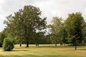 Property thumbnail 10