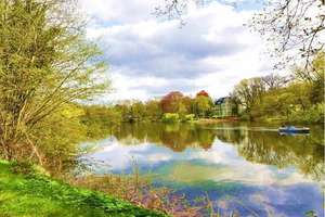 Property thumbnail 12