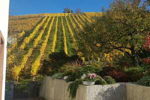 Wohnen am Weinberg: Helle DG-Wohnung mit Sonnenbalkon  u. großem Gartenanteil in Traumlage – Asangstr. 42, 70329 Obertürkheim (Ortsteil), Stuttgart – Vorschaubild 4
