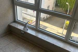 3-Zimmer Mietwohnung mit Balkon und Einbauküche  zum Sofortbezug – Die vollständige Adresse der Immobilie erhältst du vom Anbieter., 38118 Westliches Ringgebiet, Braunschweig – Vorschaubild 20