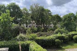 + NAHE BOTANISCHER GARTEN & BOULEVARD BERLIN + EBK + KOMFORT-BAD + BALKON-LOGGIA + TG-STELLPLATZ + – Hortensienstraße 64, 12203 Lichterfelde, Berlin – Vorschaubild 19