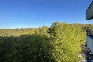 Ostsee, dem Himmel ein Stück näher, toller Ausblick, 2 Wohnungen – Sandwighof 26, 24960 Glücksburg (Ostsee) – Vorschaubild 5