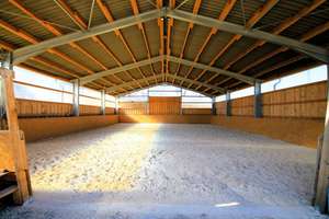 Exklusives Anwesen für Pferdeliebhaber – 11,48 ha & Reitplatz in Alleinlage – Die vollständige Adresse der Immobilie erhältst du vom Anbieter., 7366 Harra – Vorschaubild 15