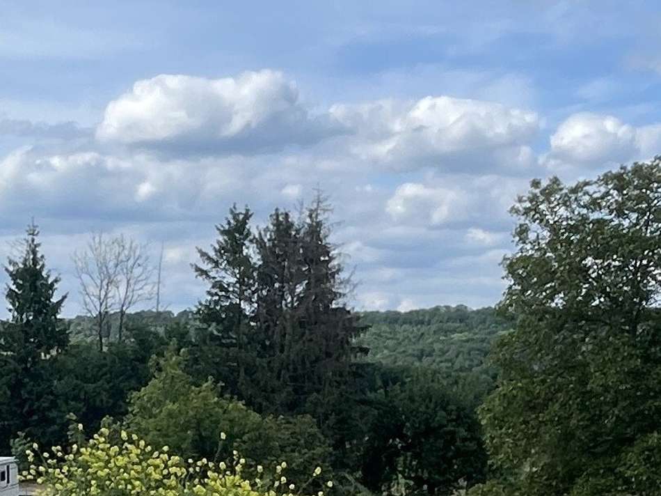 thumbnail IMG  Altenburg