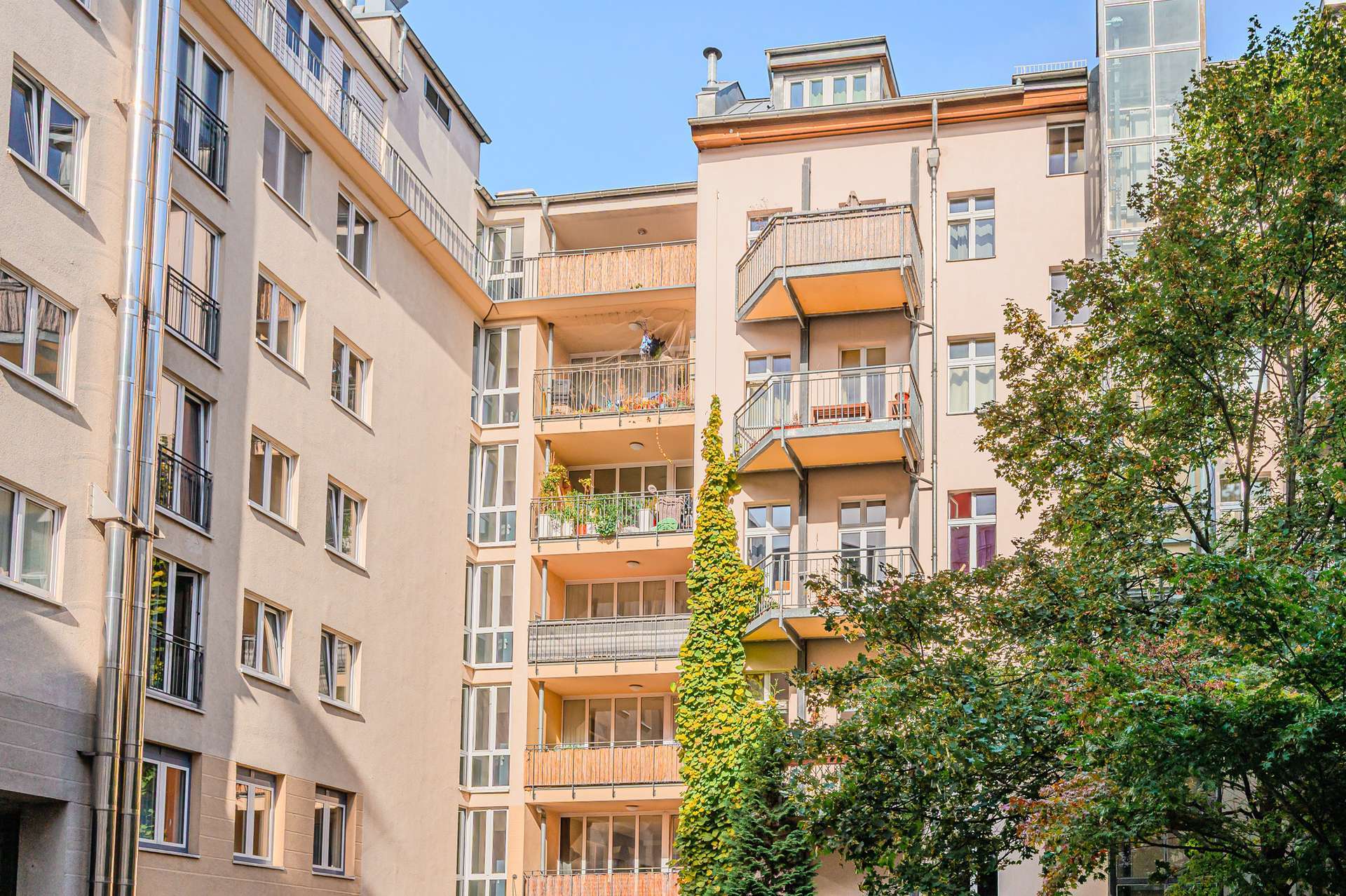 Einziehen. Ankommen. Wohlfühlen – direkt am Weinbergspark, Berlin – Bild 4