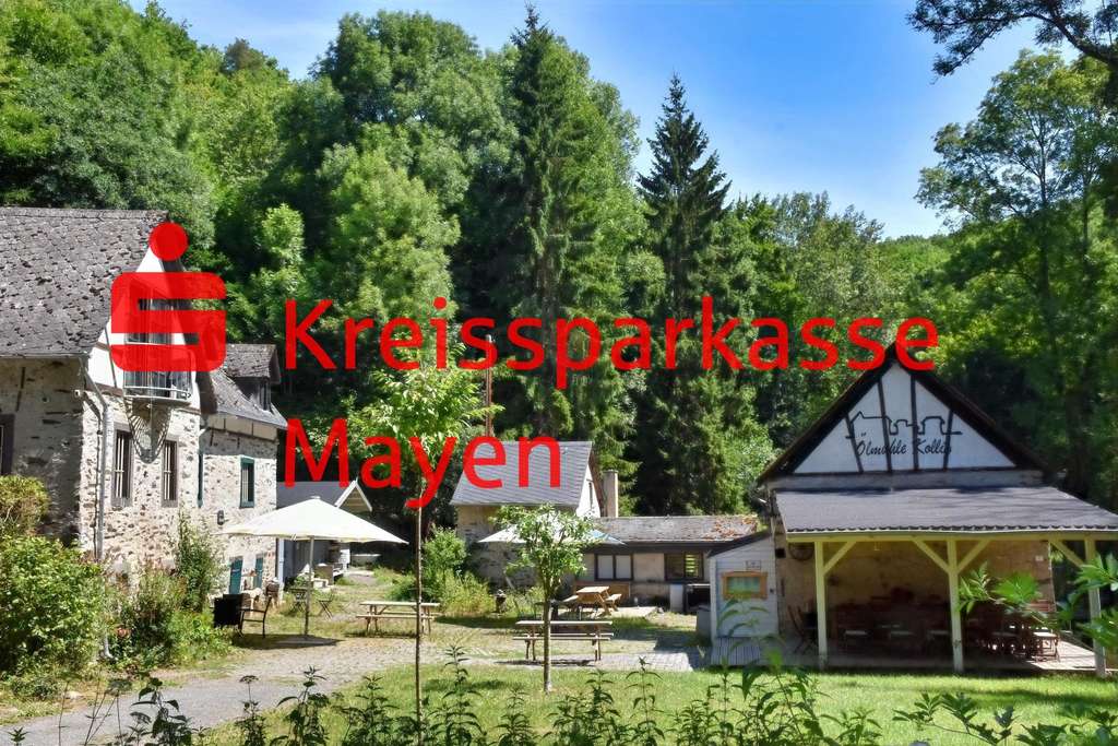 Immobilie in Kollig - Historische Ölmühle und einzigartiger Rückzugsort mit viel Sonne - Bild 0