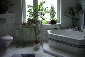 Schöne 3,5-Raum Wohnung mit offenem Kamin und großer Wohnküche – Sybelstr. 34, 45145 Frohnhausen, Essen – Vorschaubild 4