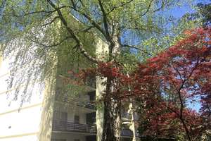 Kleines + modernes Appartement mitten im Wald! – Die vollständige Adresse der Immobilie erhältst du vom Anbieter., 75323 Bad Wildbad – Vorschaubild 2