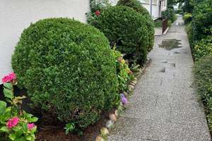 Charmante 2-Zimmer-Eigentumswohnung mit Terrasse und Gartenmitnutzung in Osnabrück-Eversburg – Die vollständige Adresse der Immobilie erhältst du vom Anbieter., 49090 Eversburg, Osnabrück – Vorschaubild 4