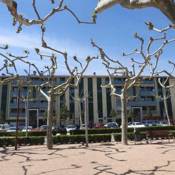 Solvia Immobilien Wohnung Sils