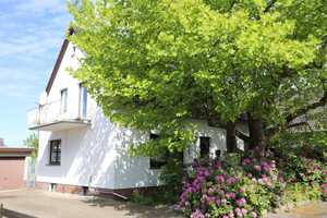 Viele Zimmer - großes Grundstück - 1-2 Familienhaus in Gifhorn - Nähe Innenstadt – Gifhorn (Kreis) – Vorschaubild 1