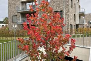 Property thumbnail 16