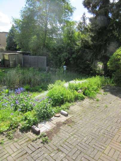 Garten 1 Garten 1