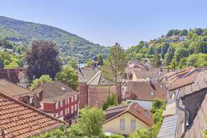 Grün und stadtnah wohnen: Stilvolles Einfamilienhaus mit parkähnlichem Garten und Ausbaupotential – Die vollständige Adresse der Immobilie erhältst du vom Anbieter., 69118 Ziegelhausen, Heidelberg – Vorschaubild 24
