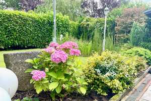 Eine Lage spricht für sich! – Viersen (Kreis) – Vorschaubild 28