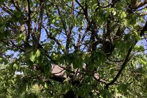 Property thumbnail 26