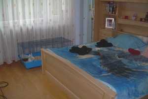 Mehrfamilienhaus in schöner Wohnlage von Büdingen – Wetteraukreis – Vorschaubild 8