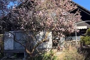 Property thumbnail 1