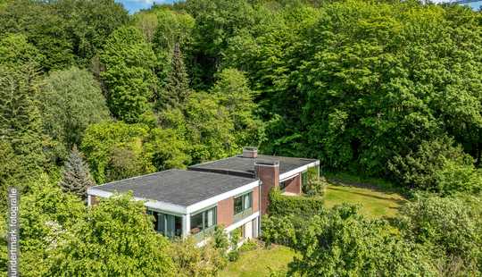 Bild von Einmaliges und sonnendurchflutetes Bauhaus mit großem Garten im besten Ostviertel von Göttingen