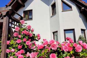 Schönes modernes Einfamilienhaus mit direktem Naturzugang – Die vollständige Adresse der Immobilie erhältst du vom Anbieter., 29468 Bergen an der Dumme – Vorschaubild 5