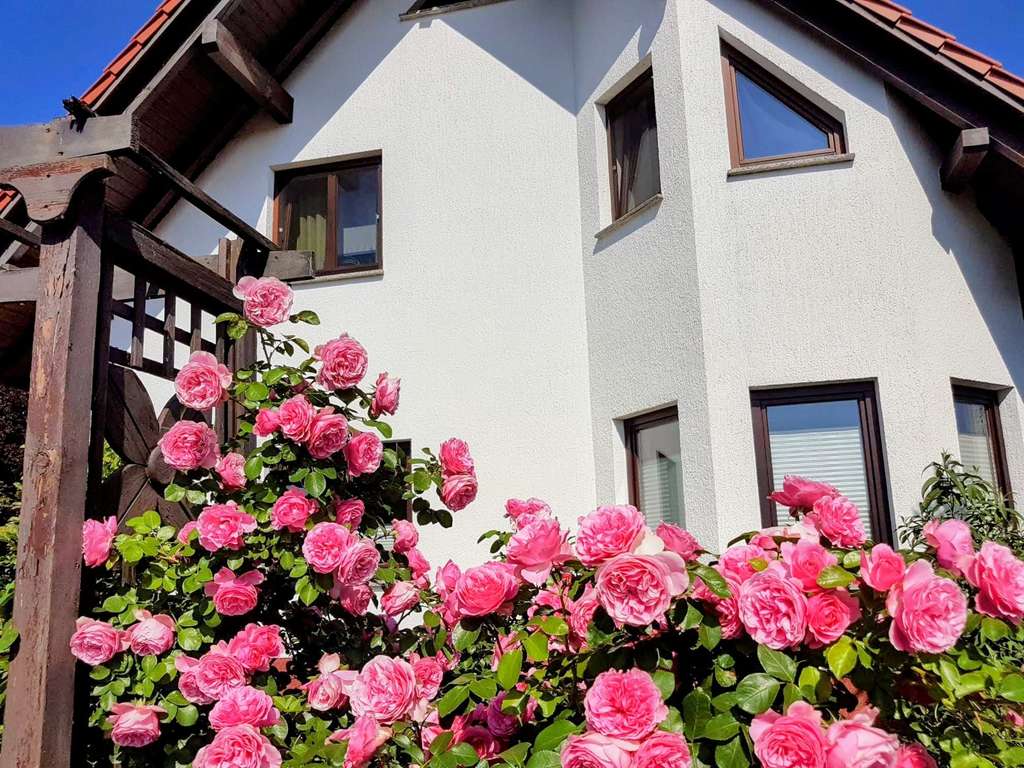Immobilie in Bergen an der Dumme - Schönes modernes Einfamilienhaus mit direktem Naturzugang - Bild 4