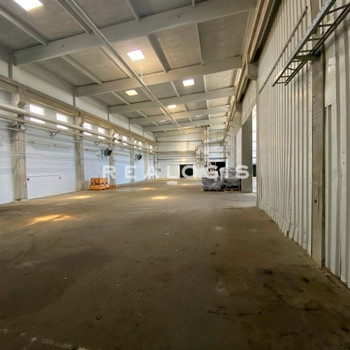 Ca. 380 m² beheizte Lagerfläche | ebenerdiges Tor | Rampen | zu vermieten