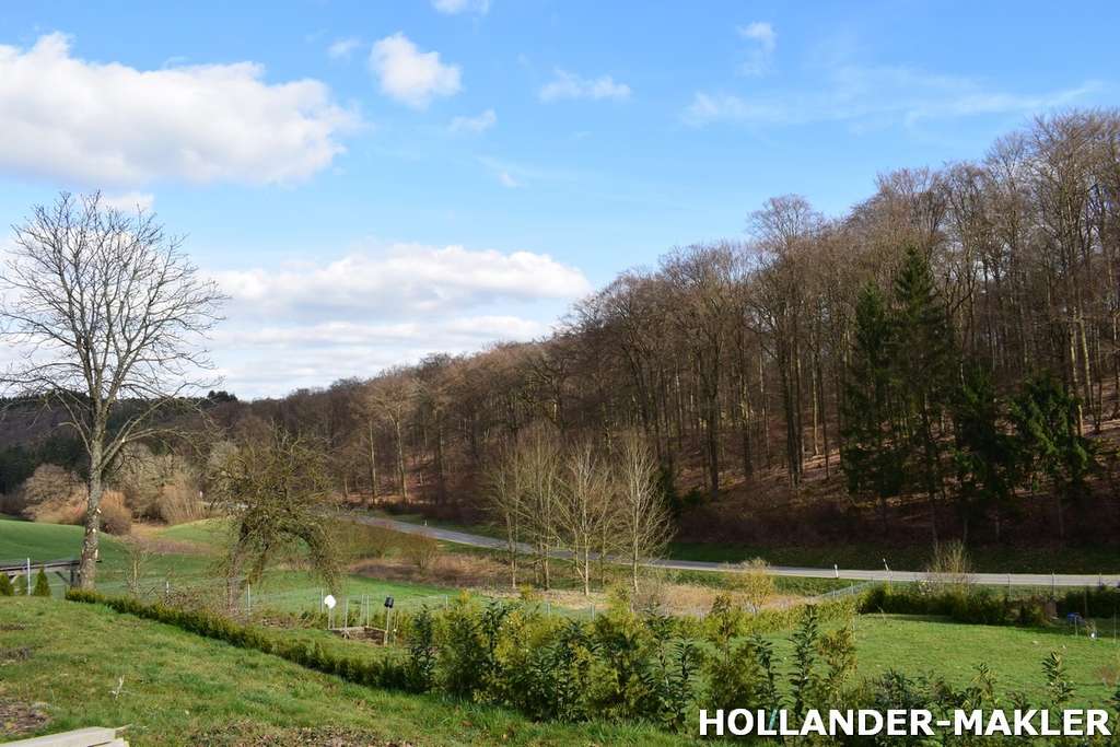 Immobilie in Rhaunen - Freiheit Rhaunen, Hunsrück – Modernisiertes Mehrfamilienhaus mit großem Grundstück und Potenzial - Bild 2