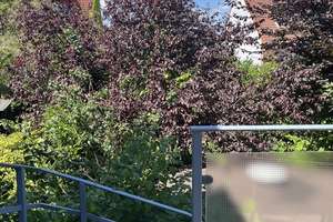 Top-Wohnlage! Bezugsfreies, charmantes Einfamilienhaus mit Sonnengarten und Innenhof! – Die vollständige Adresse der Immobilie erhältst du vom Anbieter., 53127 Ippendorf, Bonn – Vorschaubild 19